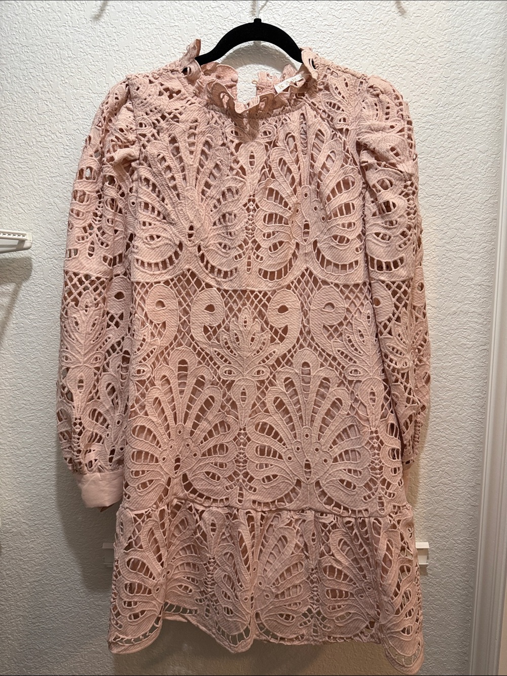 Karlie Blush Pink Crochet Lace Long-Sleeve Mini Dress